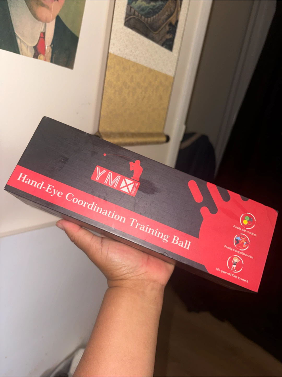 YMX Hand-Eye Coordination Training Ball Set
