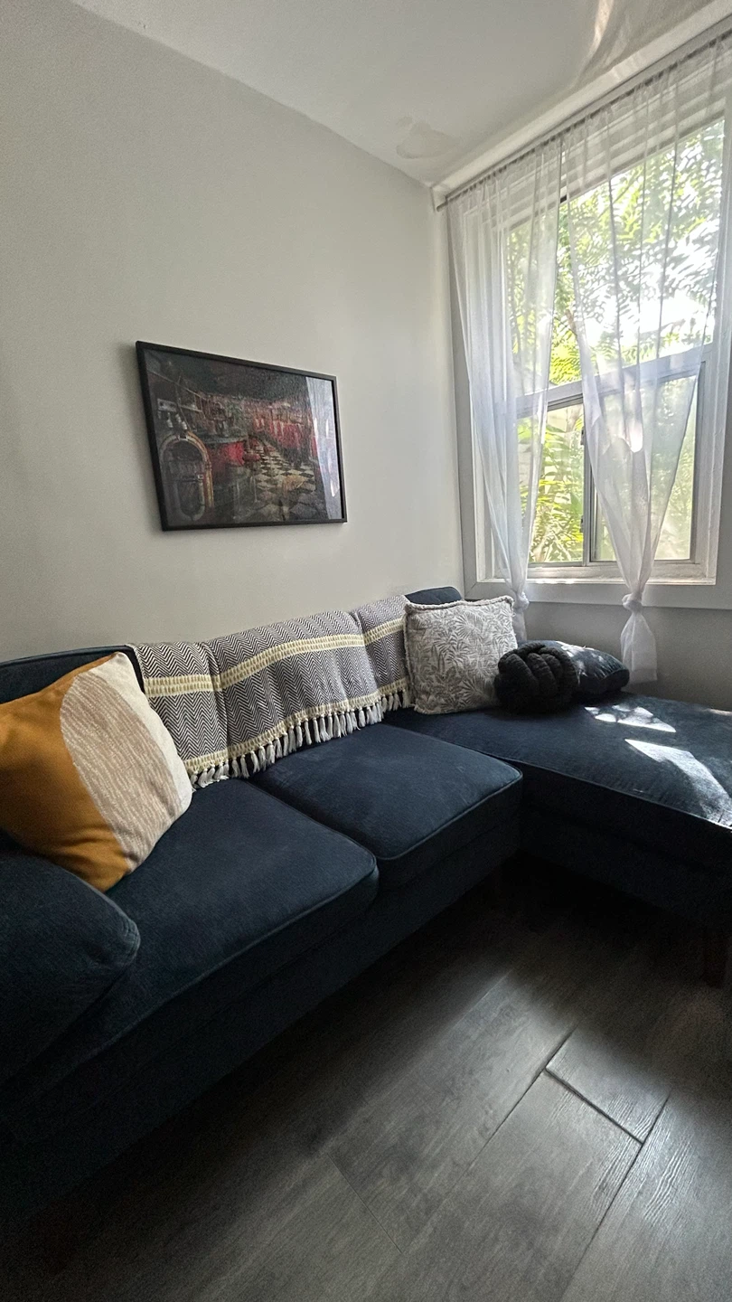 Sectional Couch