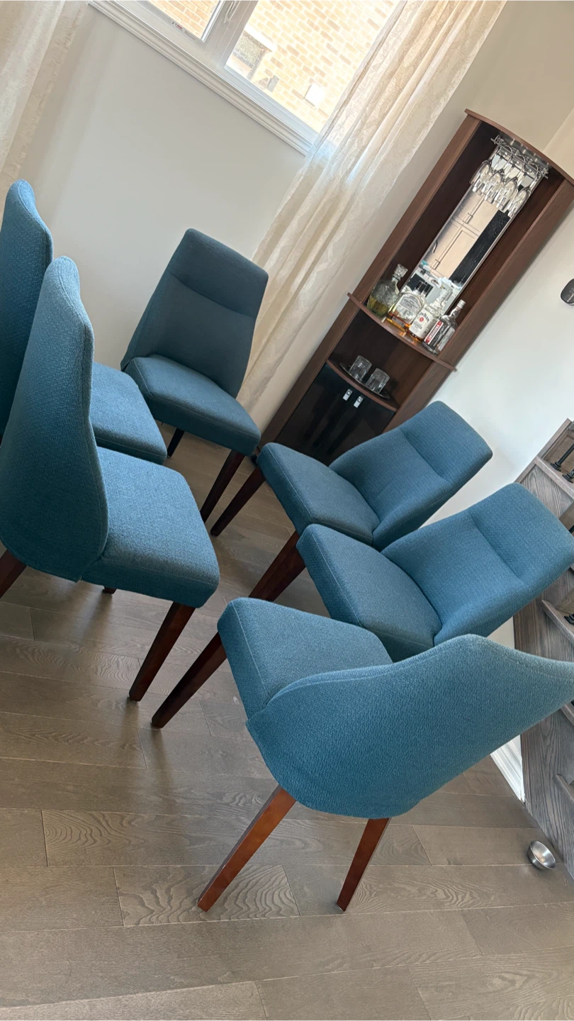 Comfy Chairs, Crazy Price! 🛋️