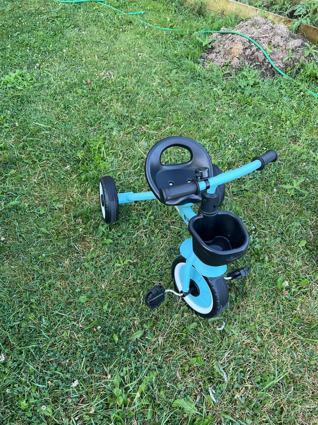 Baby Tricycle