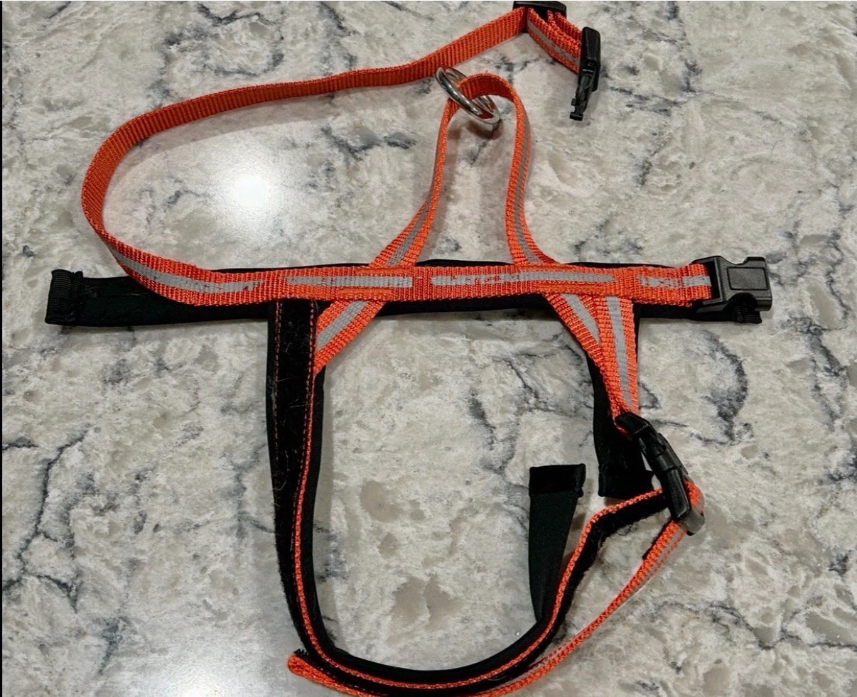 Orange Reflective Adjustable Back Clip Dog Harness - photo 2