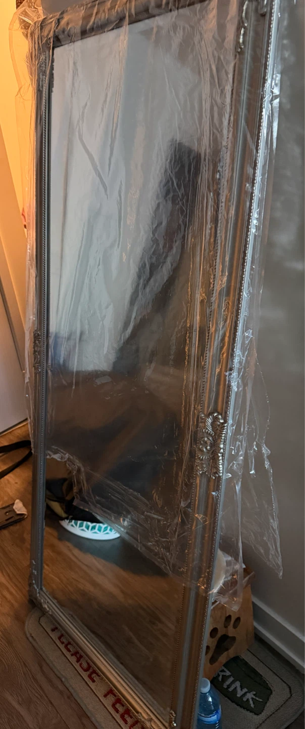 Ornate Silver Full Length Mirror