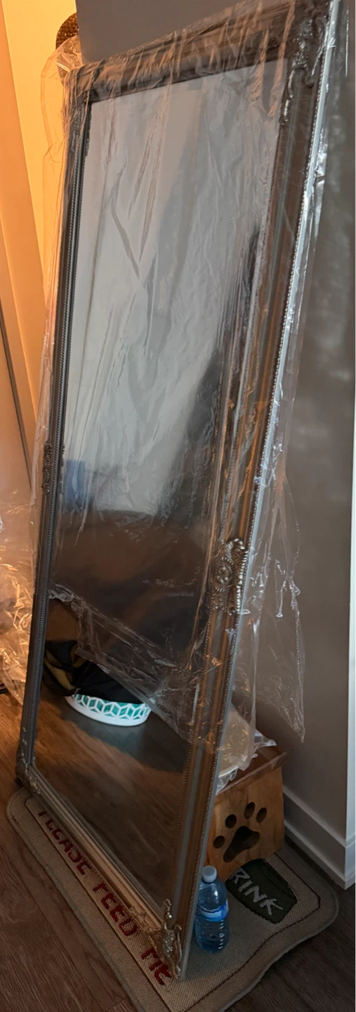 Ornate Silver Full Length Mirror - photo 2