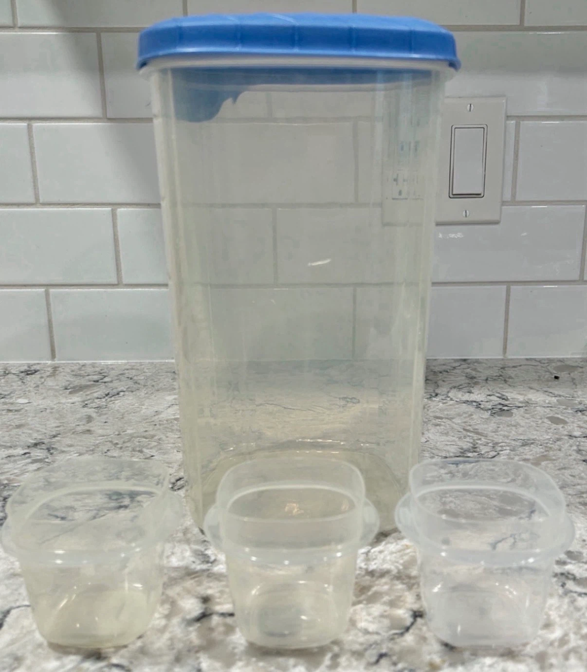 Rubbermaid Large Container and 3 Small Containers (no lids)