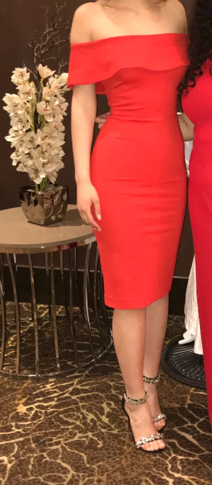Aritzia Babaton Ruslan Red dress - photo 3