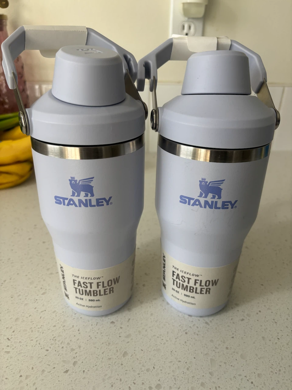 Stanley IceFlow Fast Flow Tumblers - 20 oz (Set of 2)