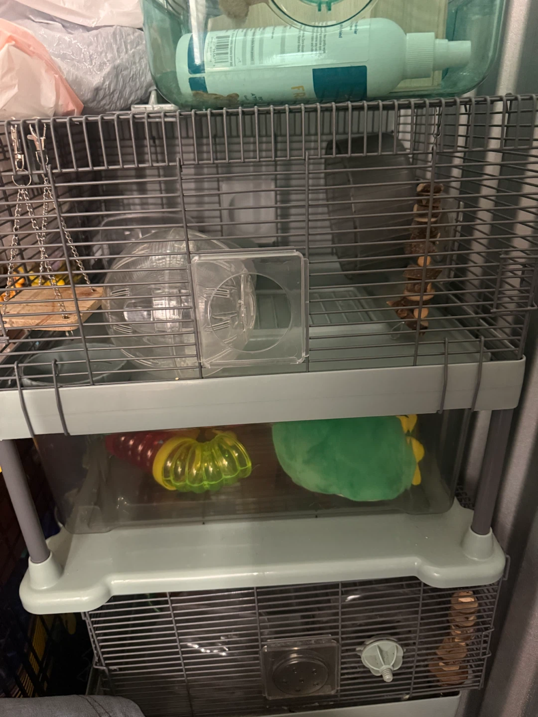 Hamster playhouse.