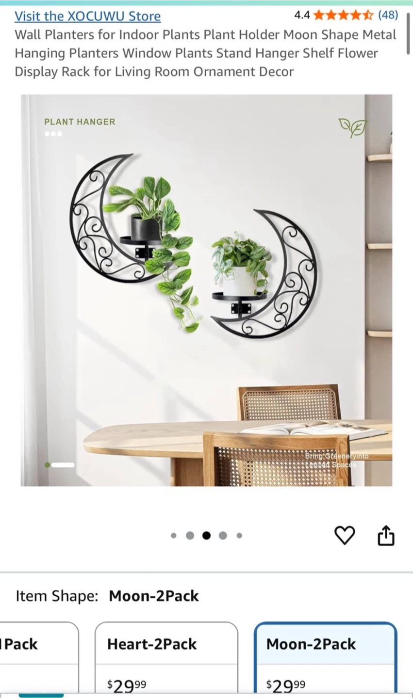 Moon Shape Metal Wall Planters - Set of 2 - photo 3