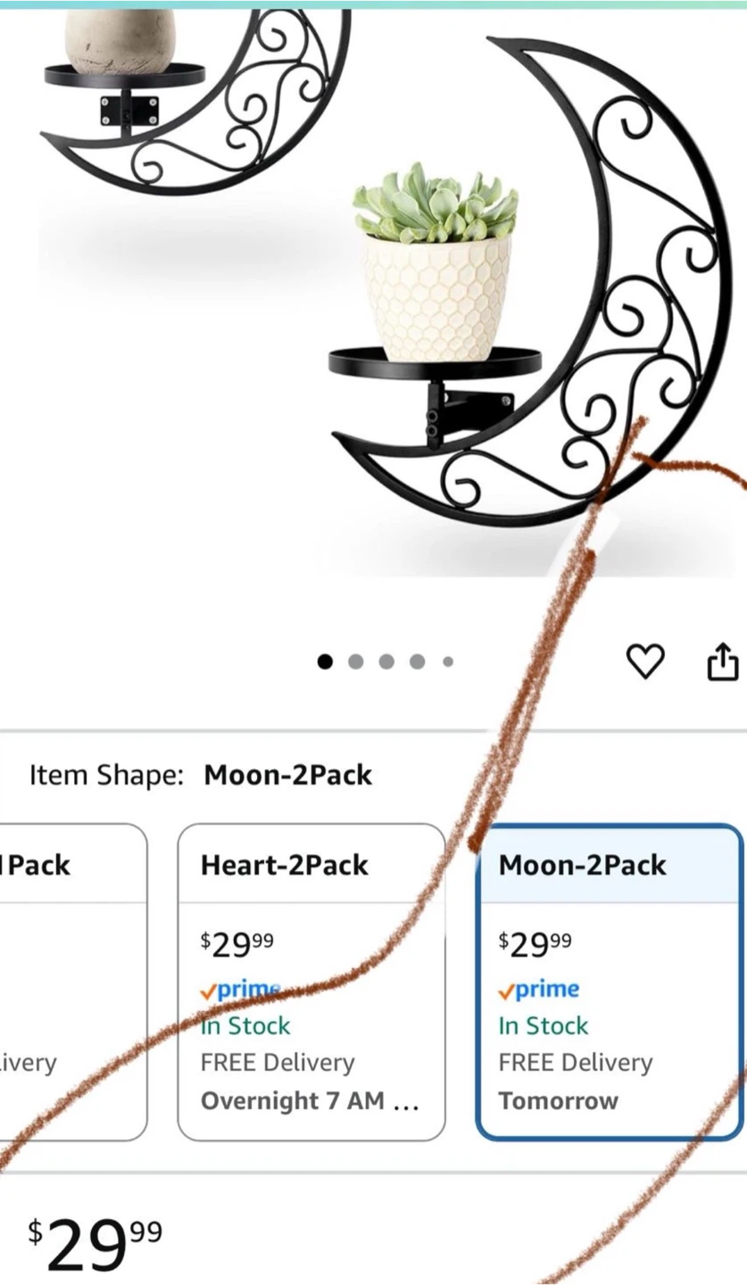 Moon Shape Metal Wall Planters - Set of 2 - photo 4