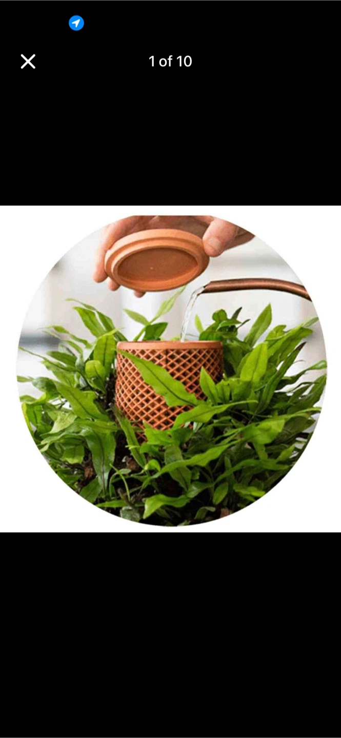 Tevaplanter Terracotta Self-Watering Planter
