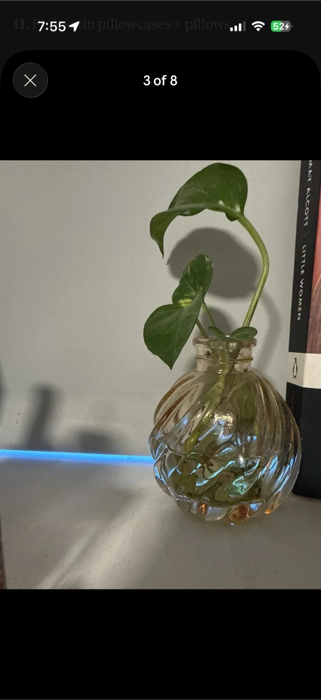 Assorted Glass Bud Vases - photo 4