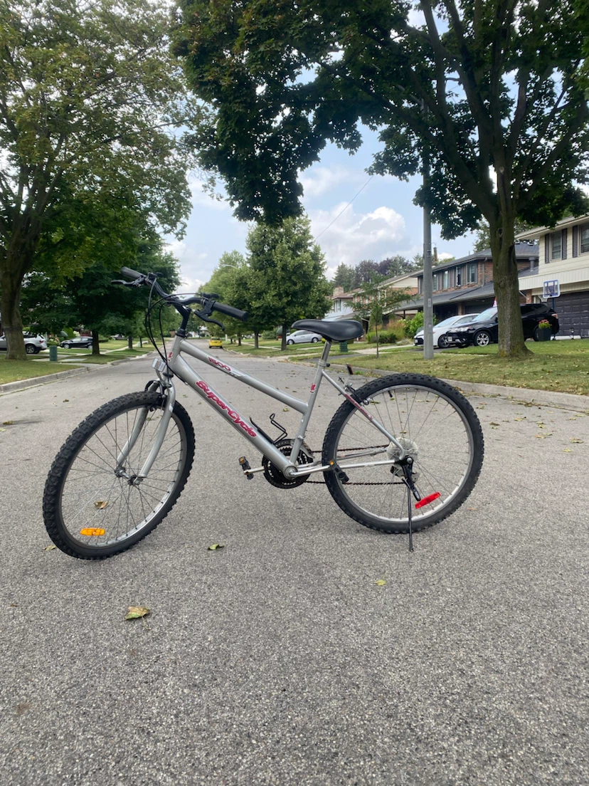 Supercycle Mountain Bike