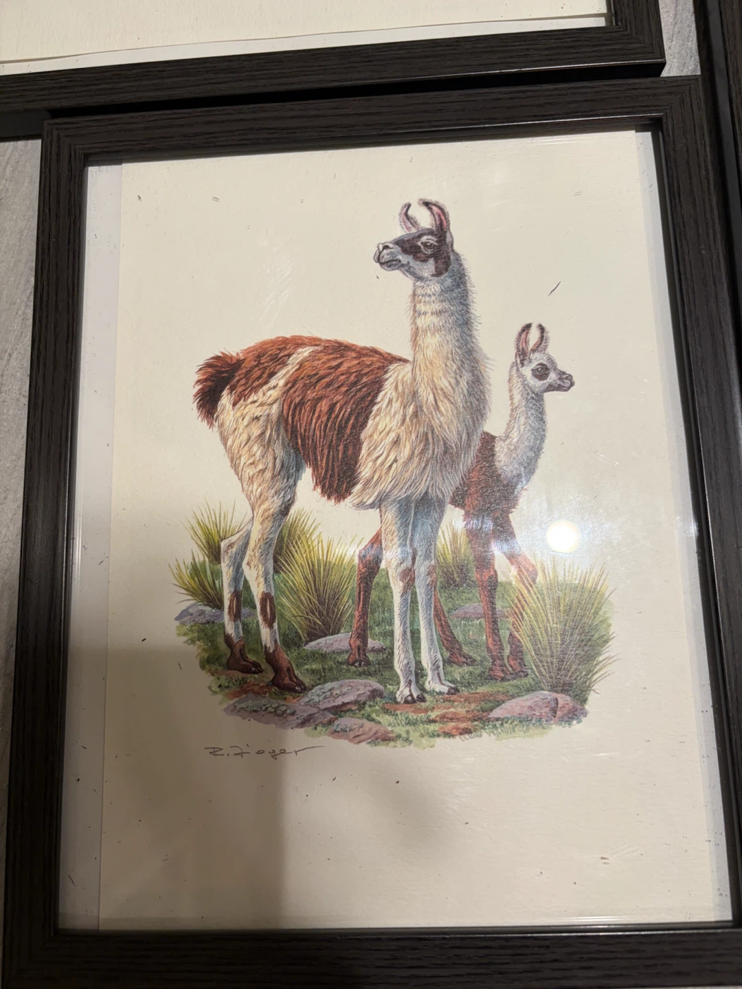 Set of 3 Framed Wildlife Art Prints - photo 2
