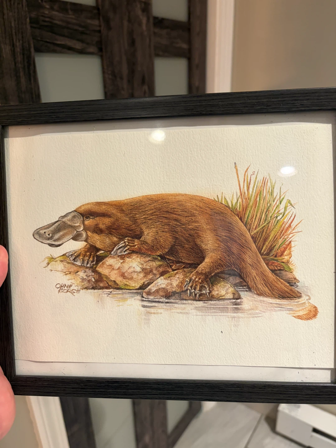 Set of 3 Framed Wildlife Art Prints - photo 4