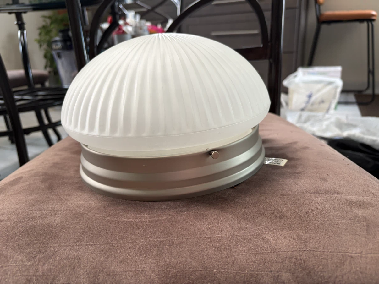 Flush Mount Ceiling Light Fixture