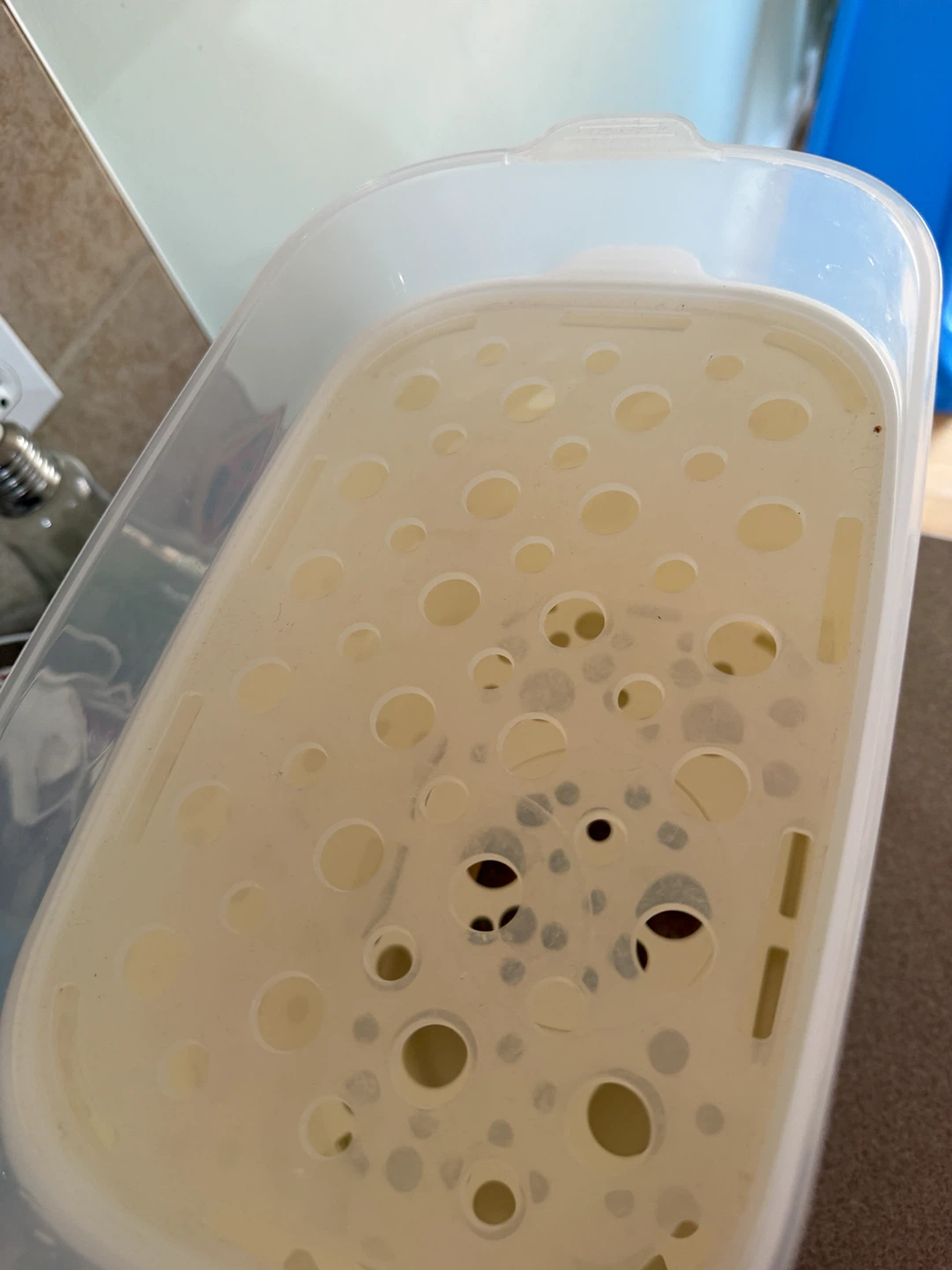 LIVING basics Bottle Sterilizer and Dryer - photo 2
