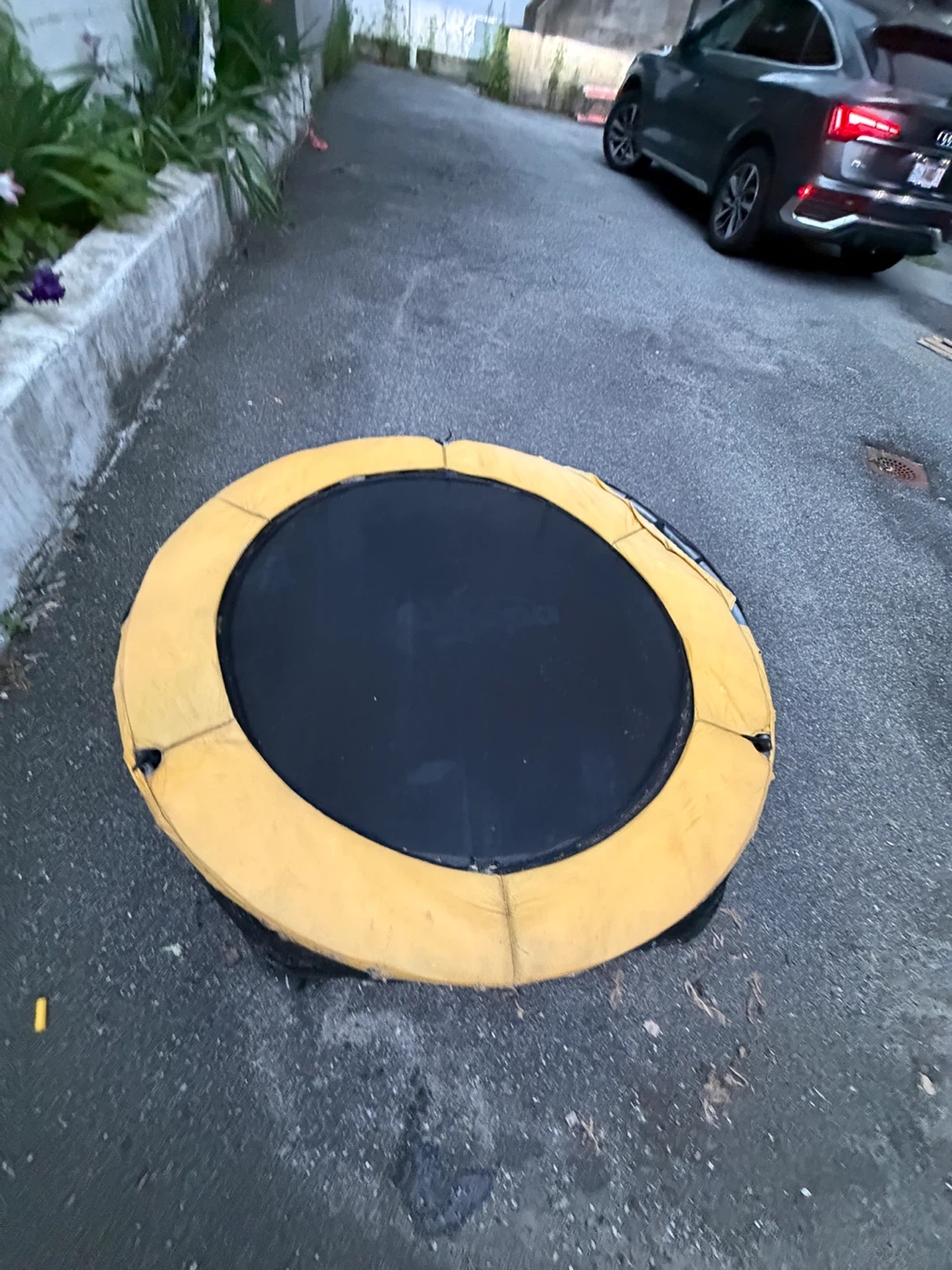 Zupapa 54-inch kids trampoline