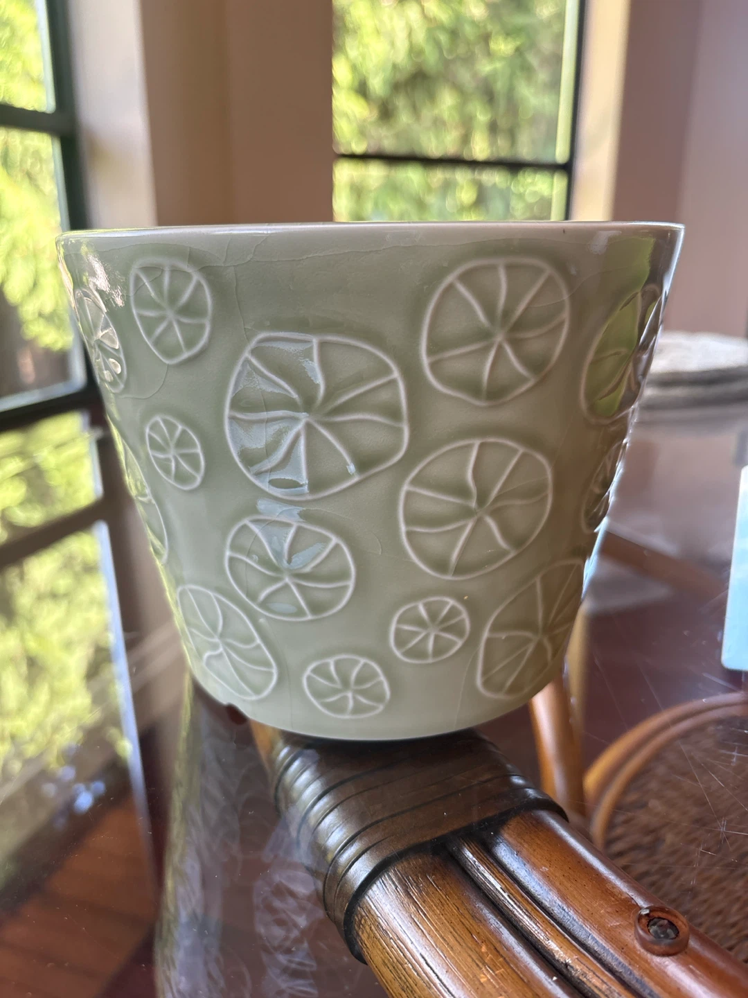 Light Green Ceramic Planter with Raised Pattern