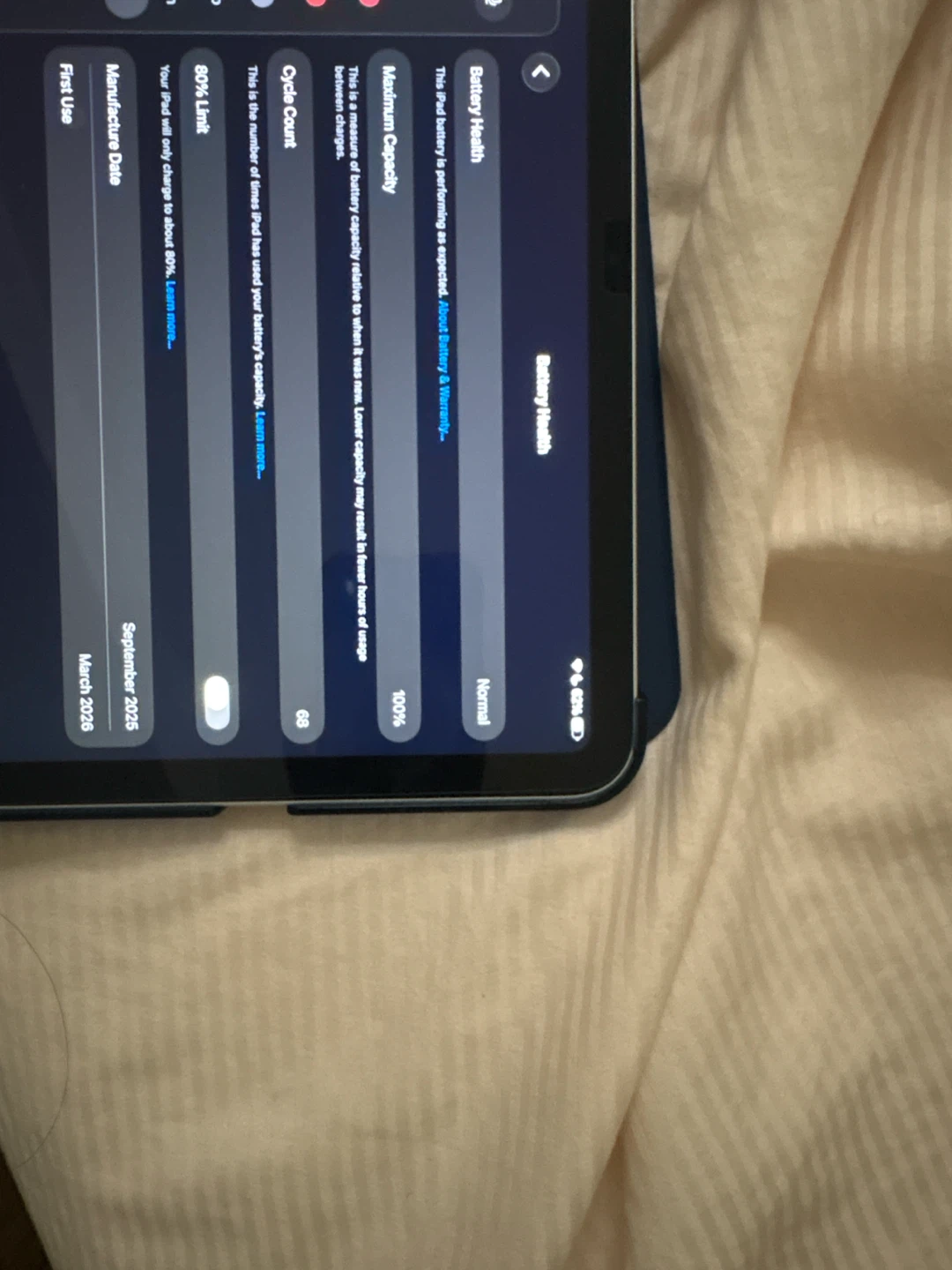 Apple iPad - photo 3