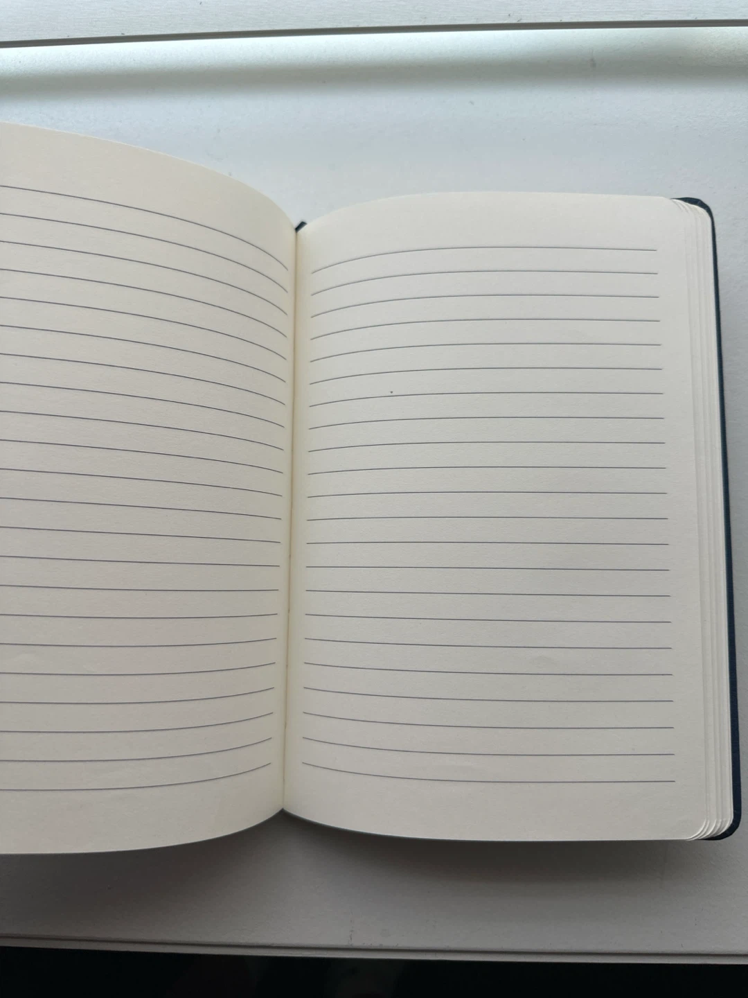 Free notebook - photo 2