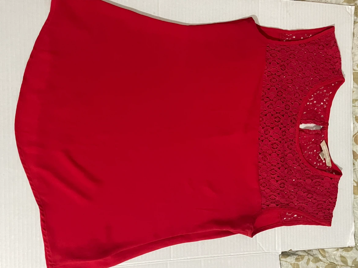Banana Republic Red Petite Lace Top