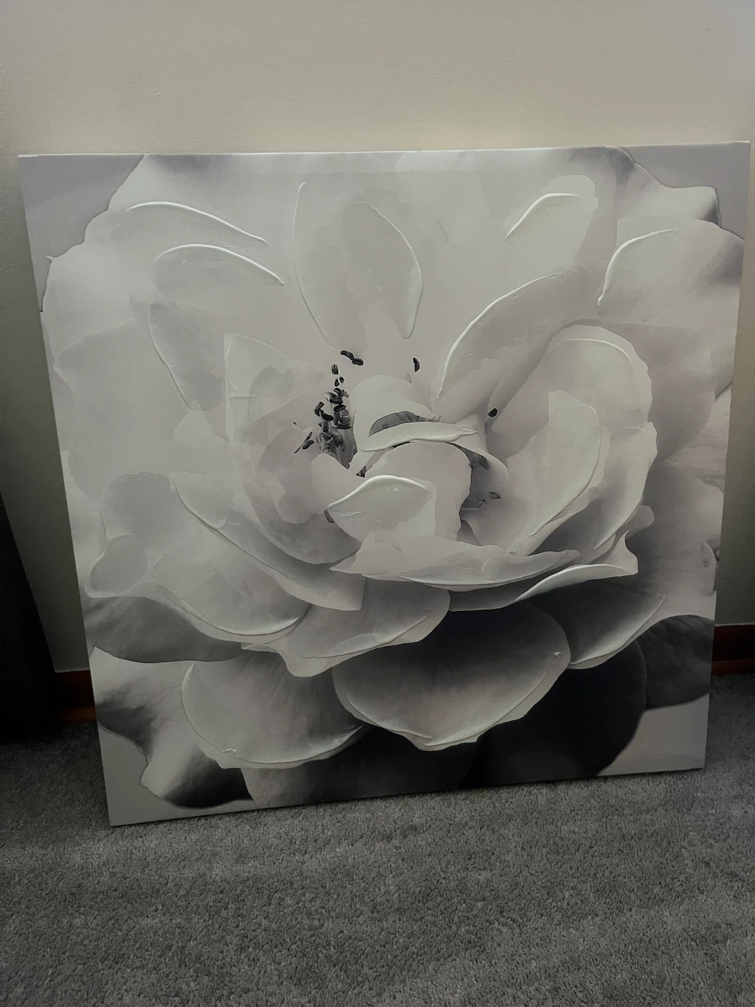 Black and White Floral Canvas Wall Art