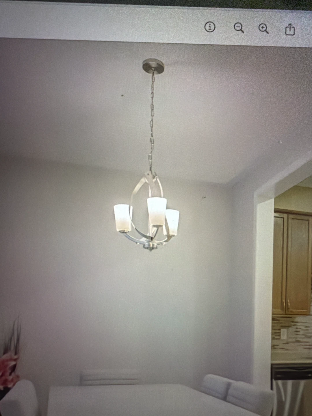 Chandelier Light Fixture