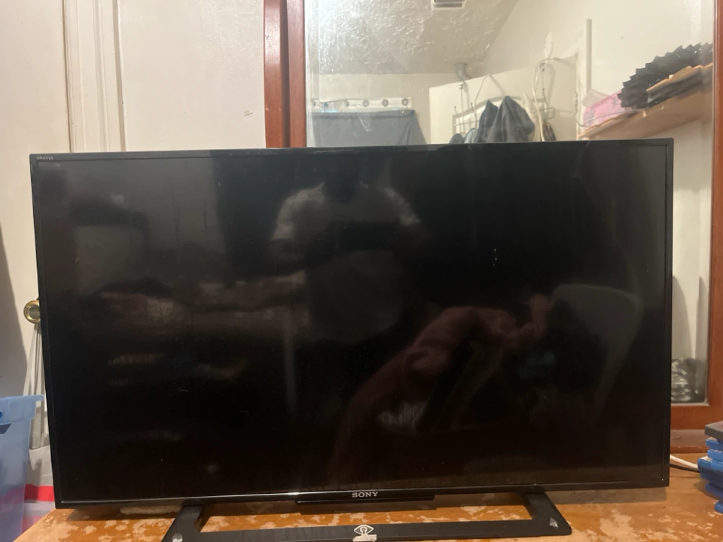Sony Flat Screen TV