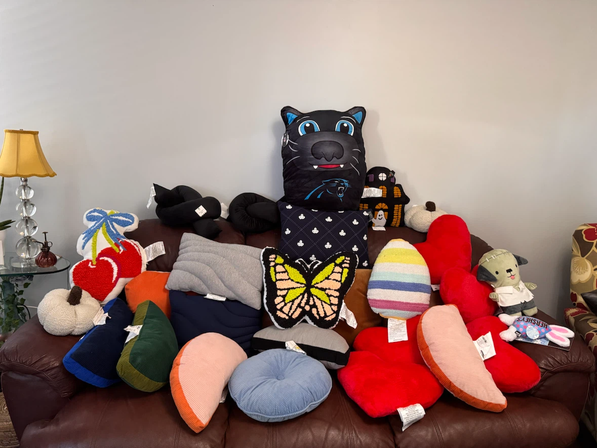 Assorted decorative throw pillows
