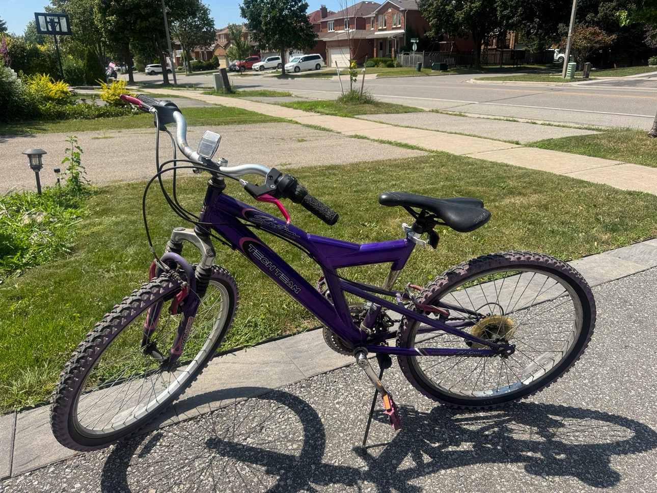 Purple Tech Team Mountain Bike
