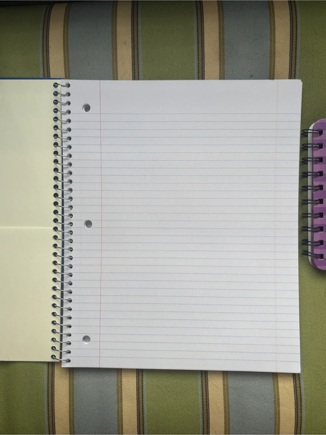 Spiral Notebook - photo 2