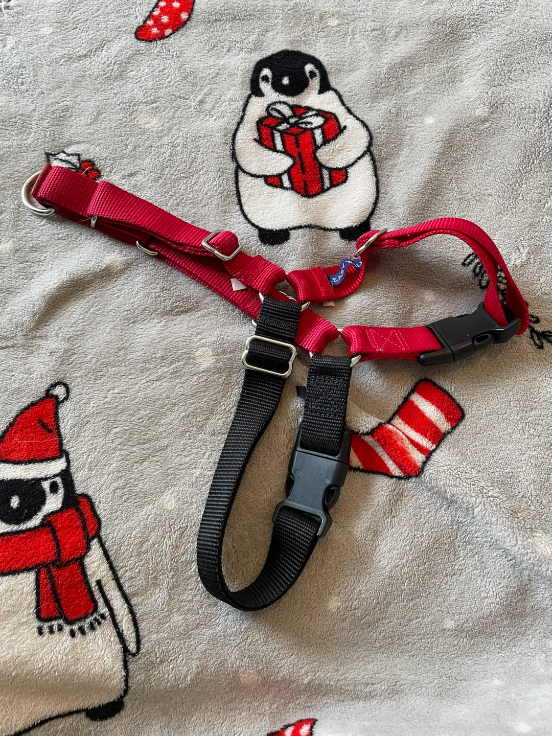 Large EasyWalk Dog Harness