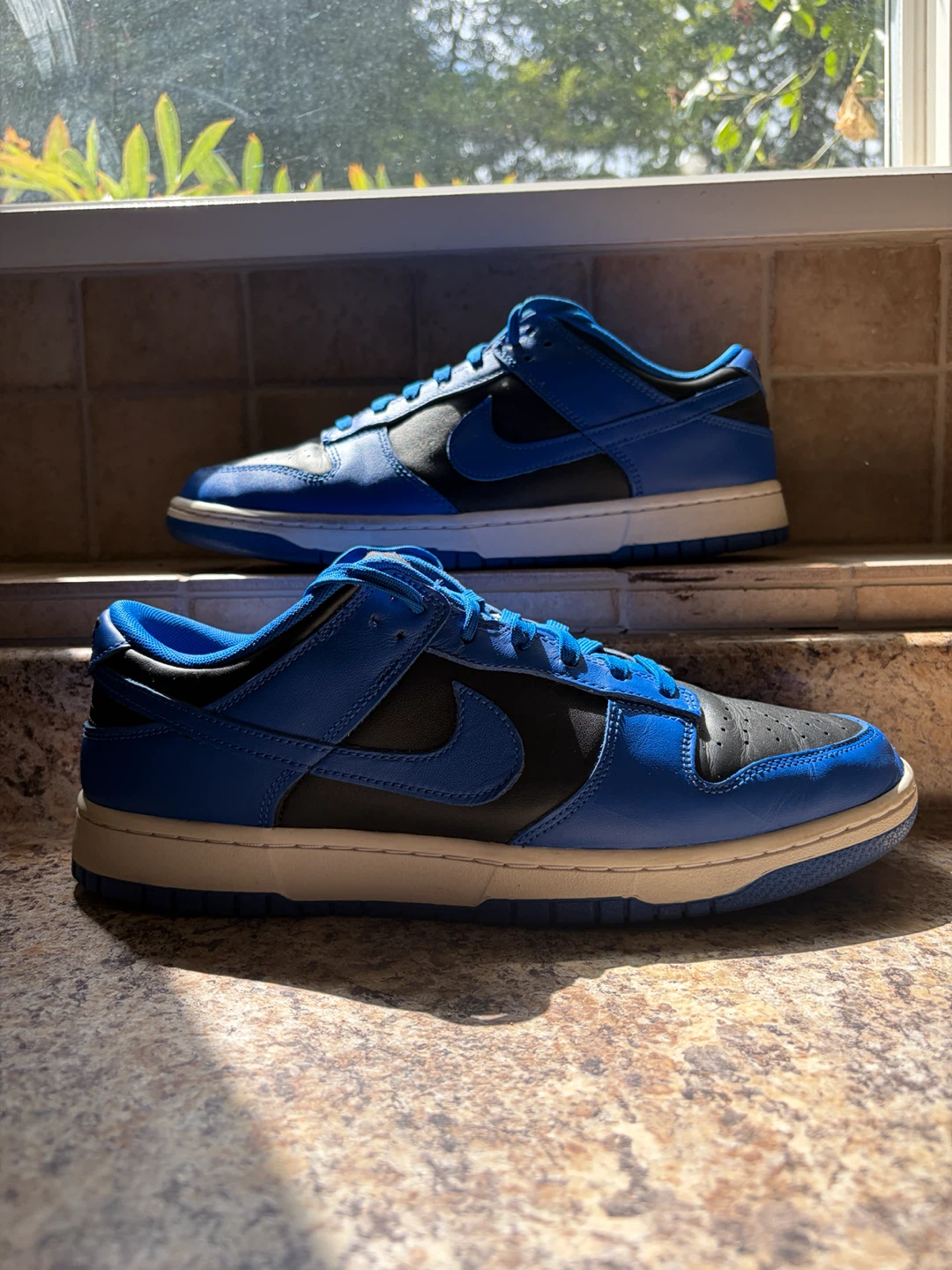 Nike Dunk Low Blue & Black