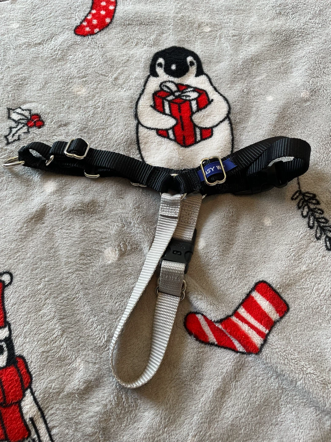 Medium EasyWalk Dog Harness