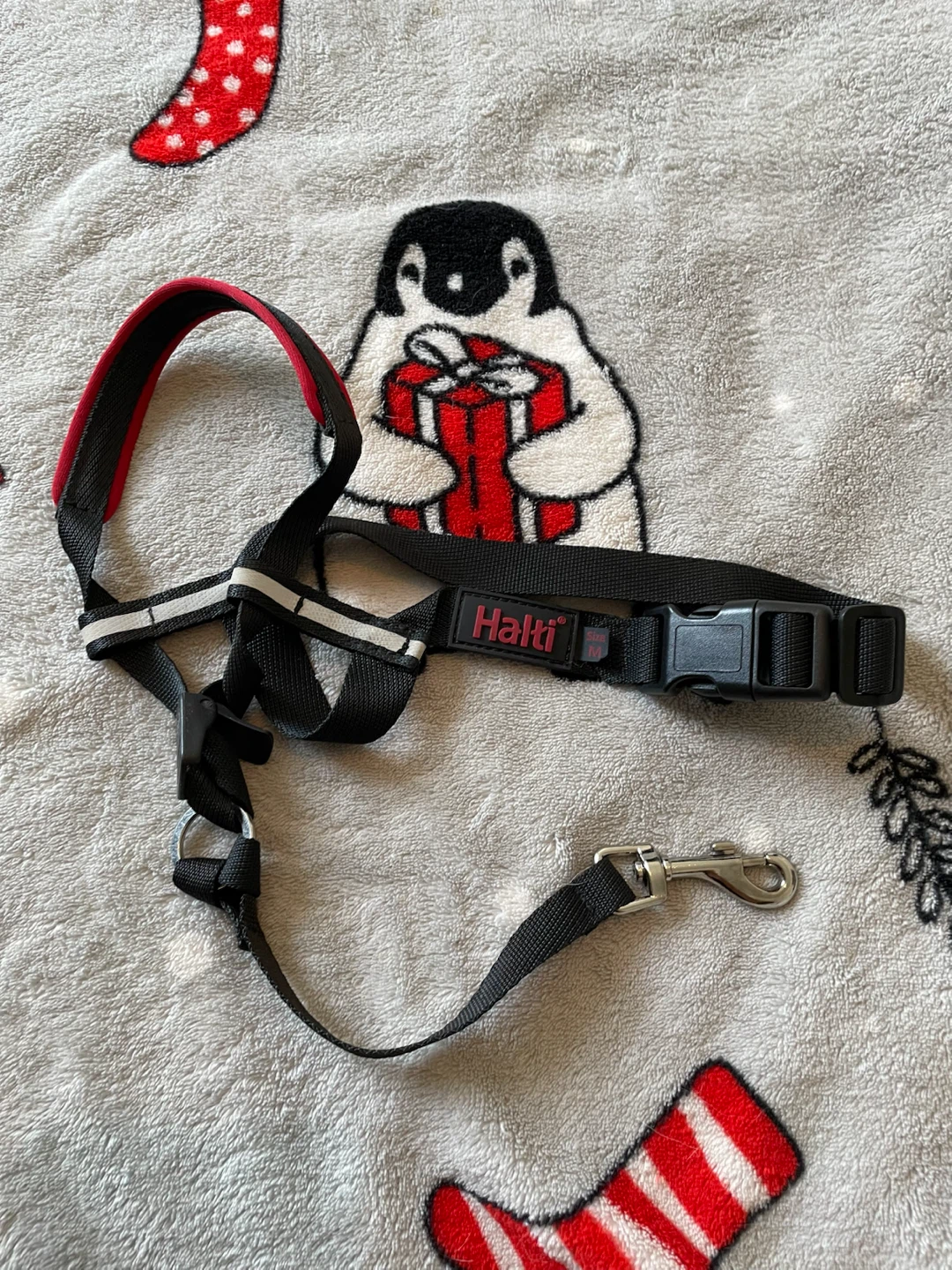 Brand New Medium Dog Halti Headcollar