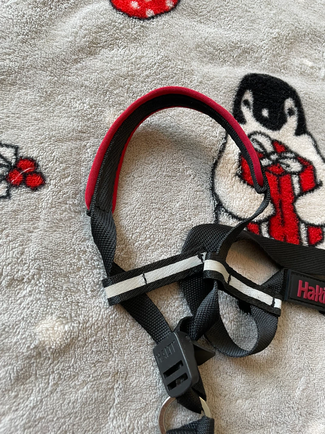 Brand New Medium Dog Halti Headcollar - photo 2