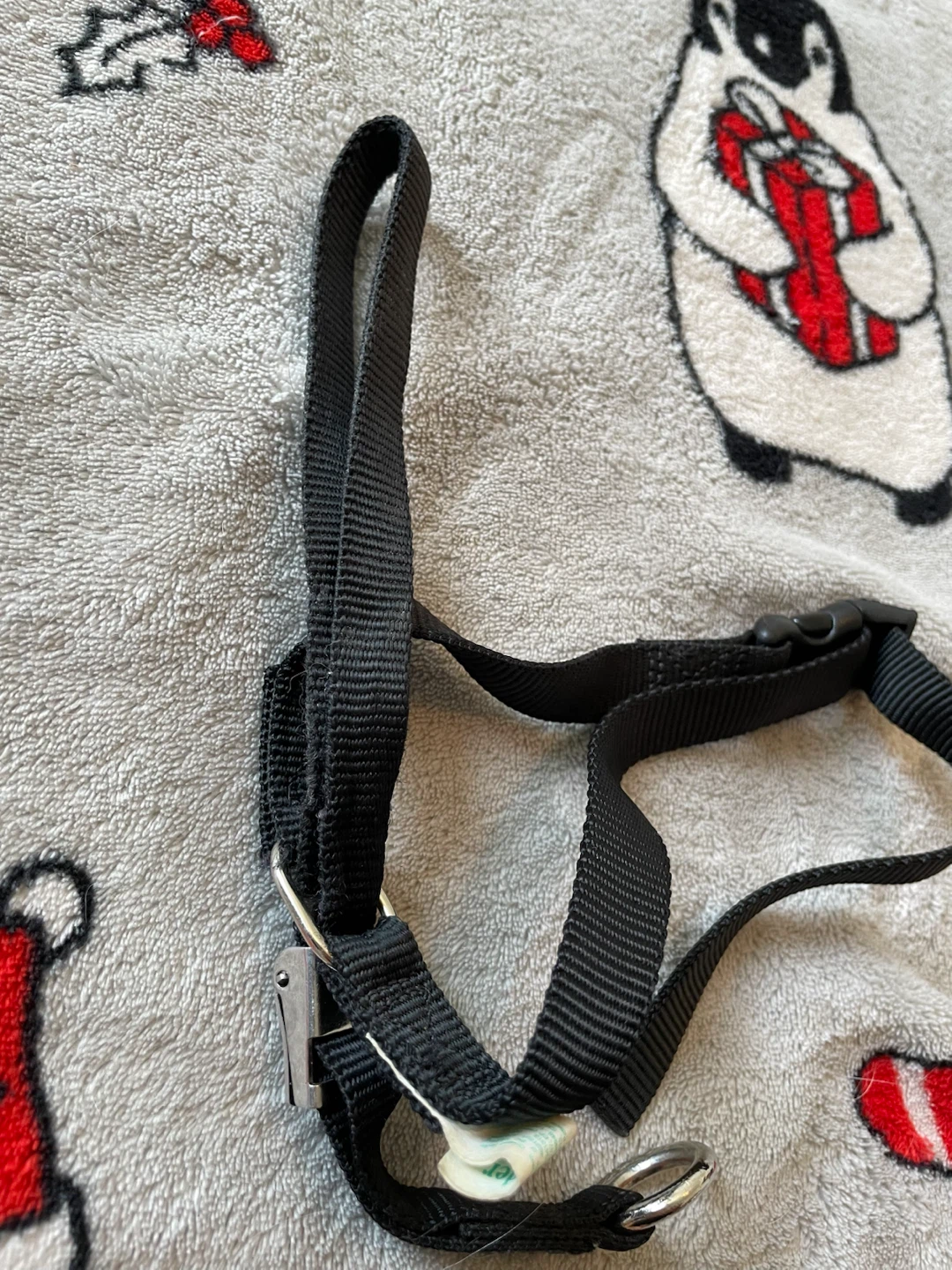 Medium Gentle Leader Dog Headcollar - photo 2