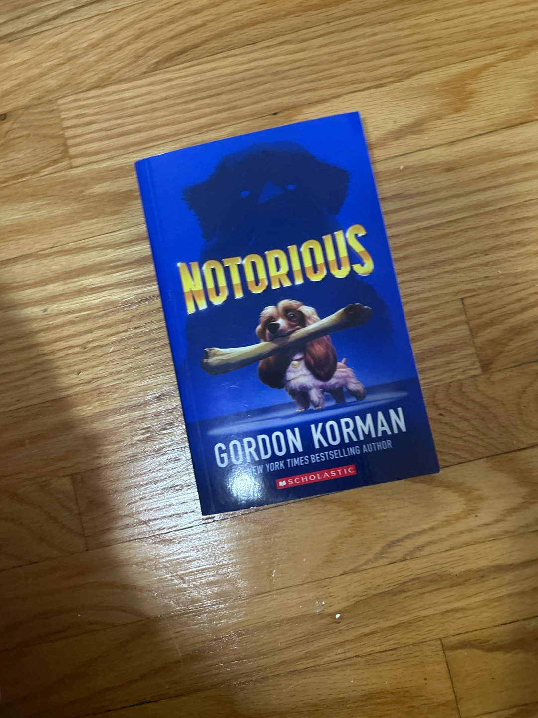 Notorious by Gordon Korman - Children's Mystery Novel
