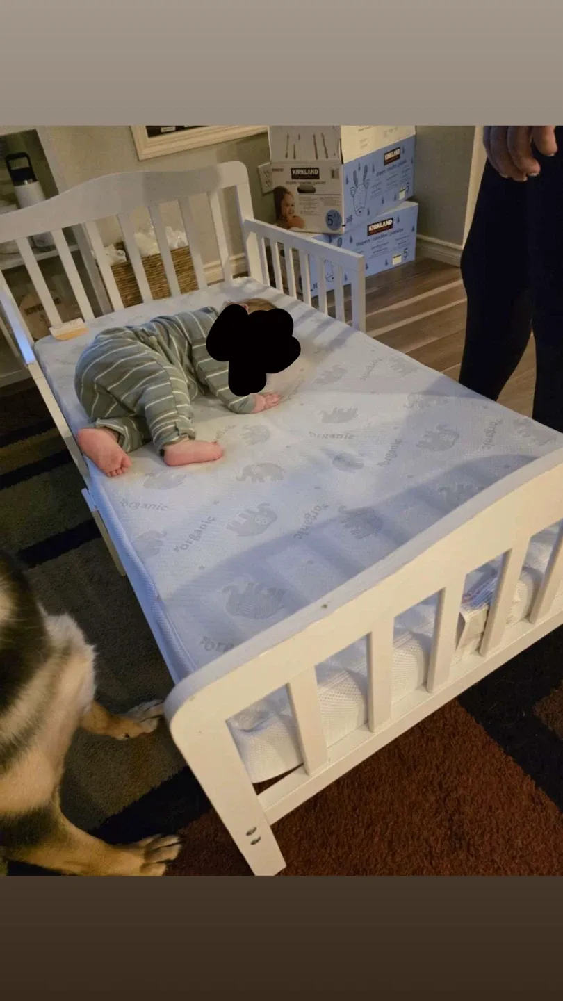 Toddler bed - photo 3