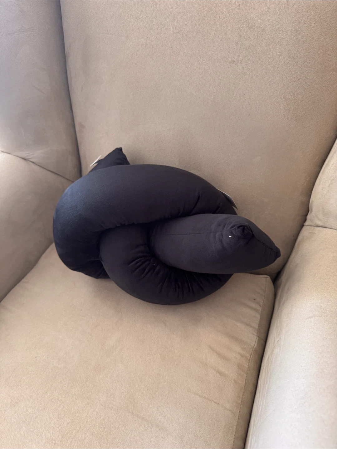 Black Knot Pillow