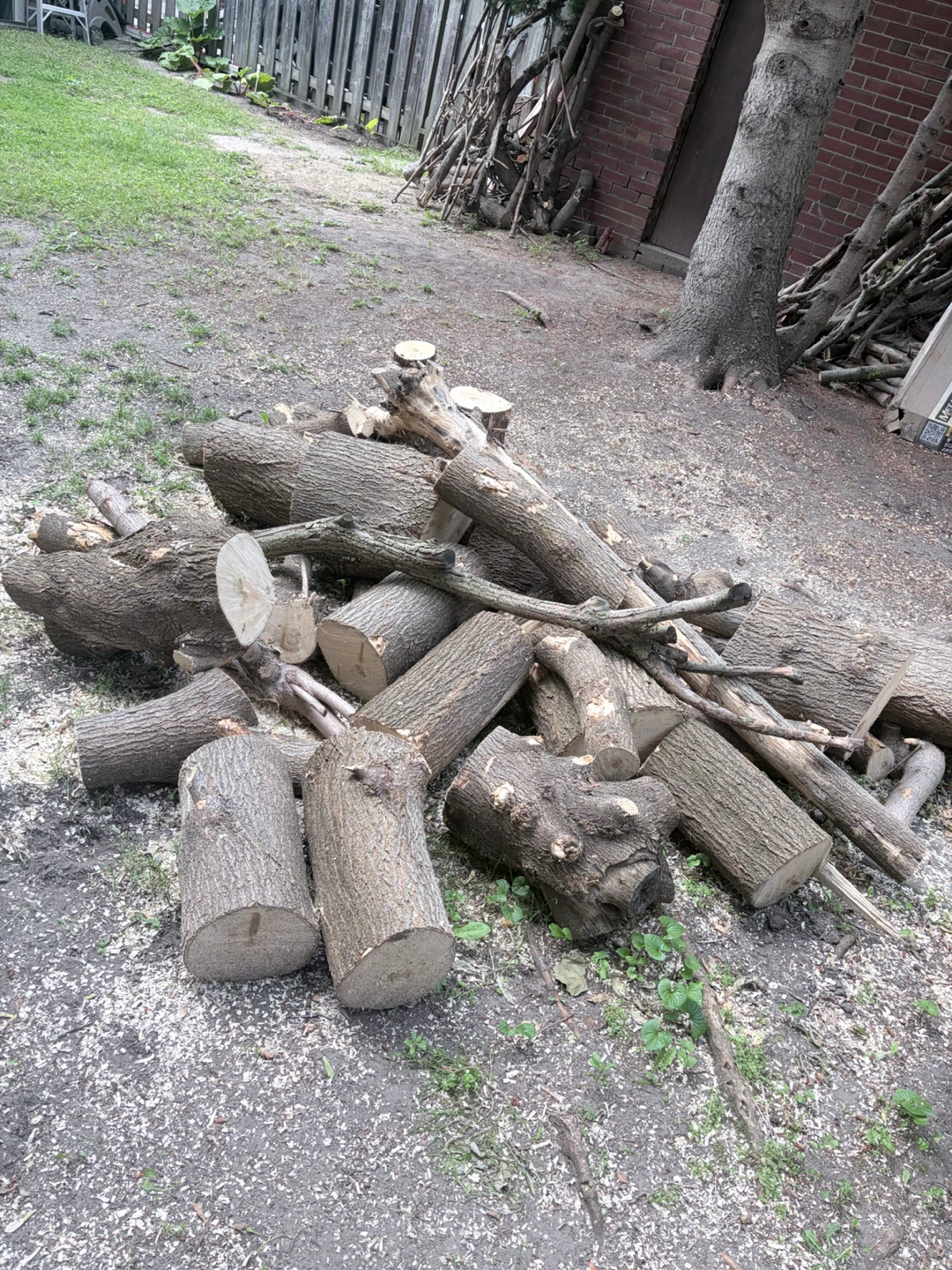 Wood