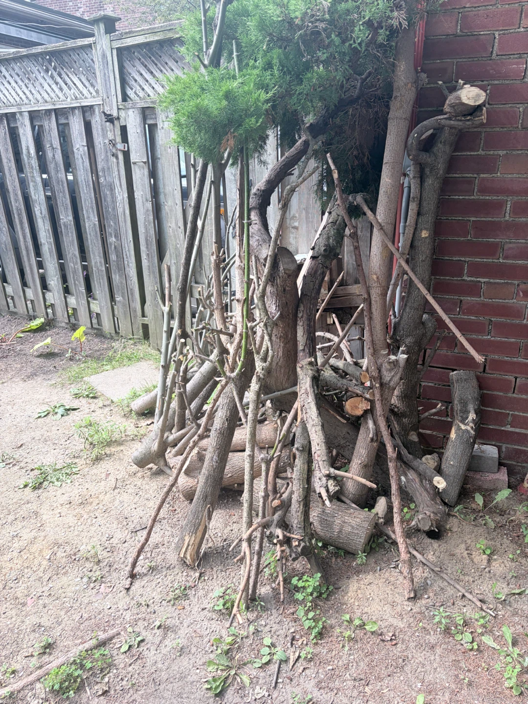 Wood - photo 3