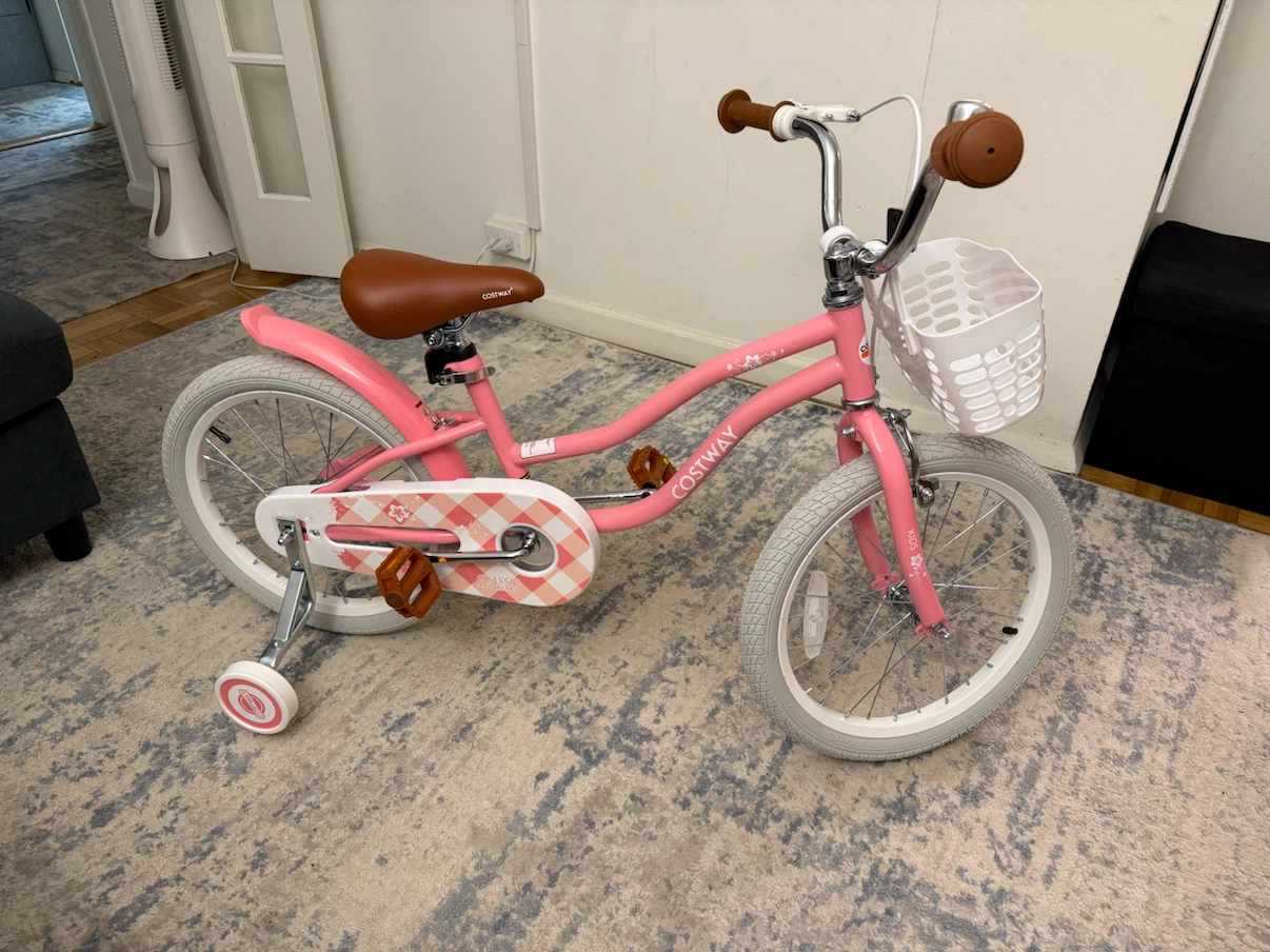 Kids Bicycle (wheel 20 inches)