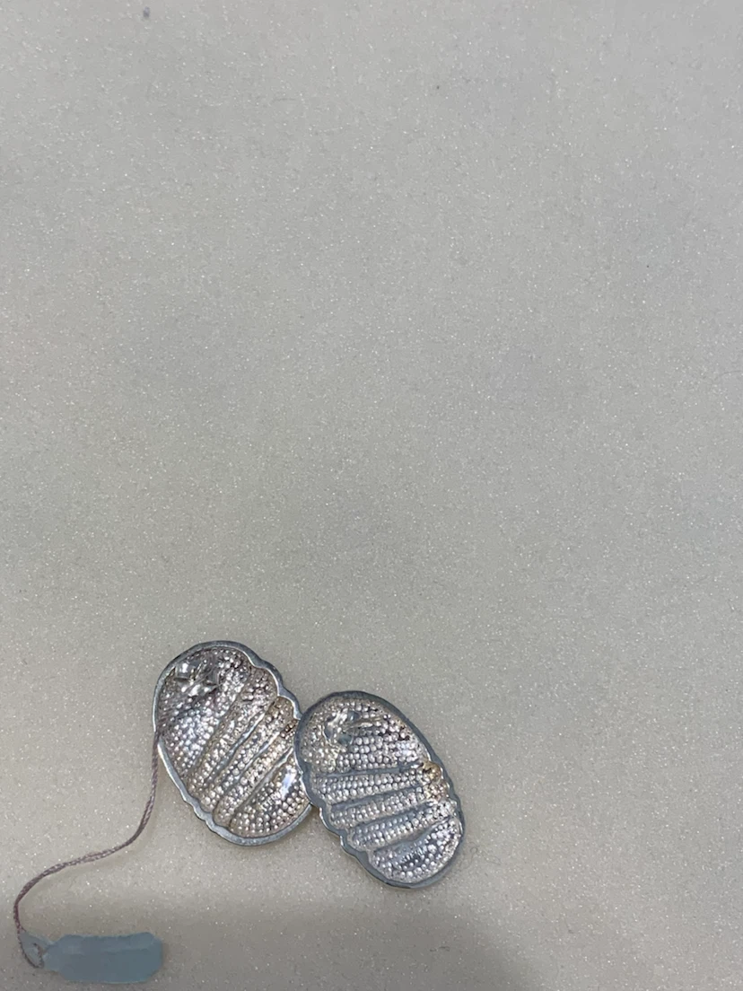 Sterling Silver Earrings