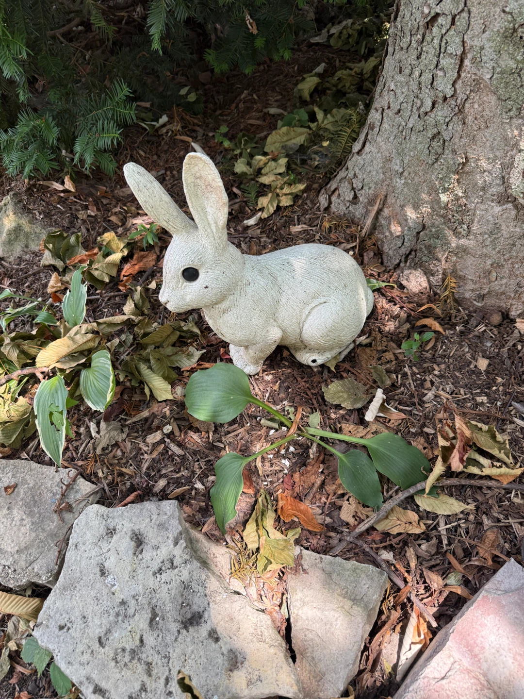 White Bunny Garden Statue