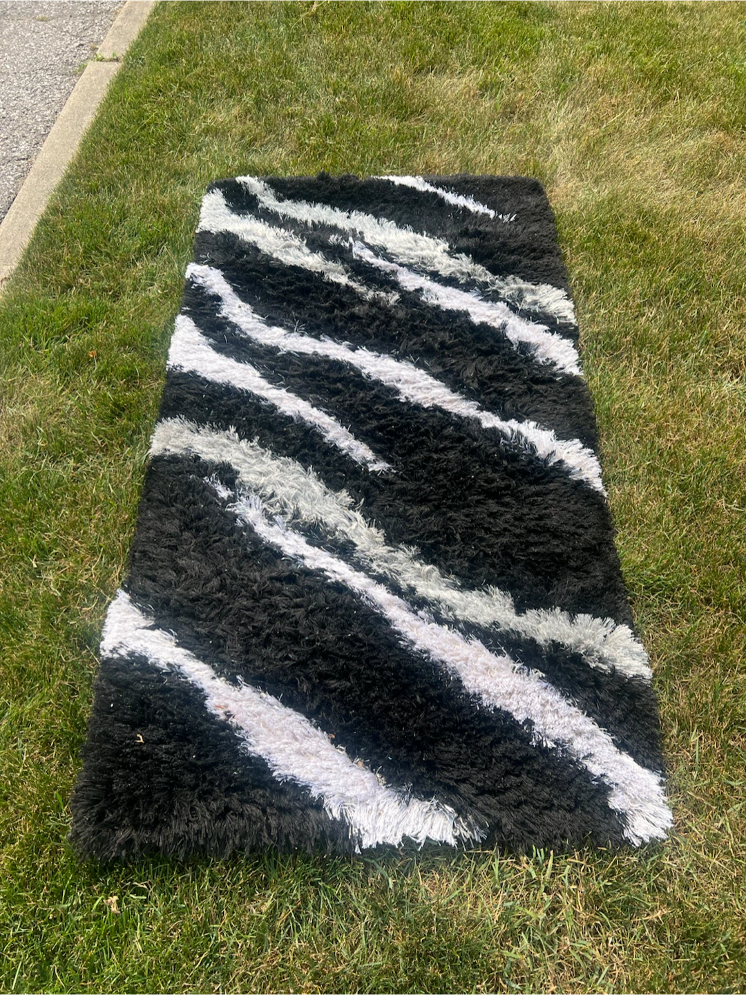 Shag Rug - Black and White Zebra Pattern