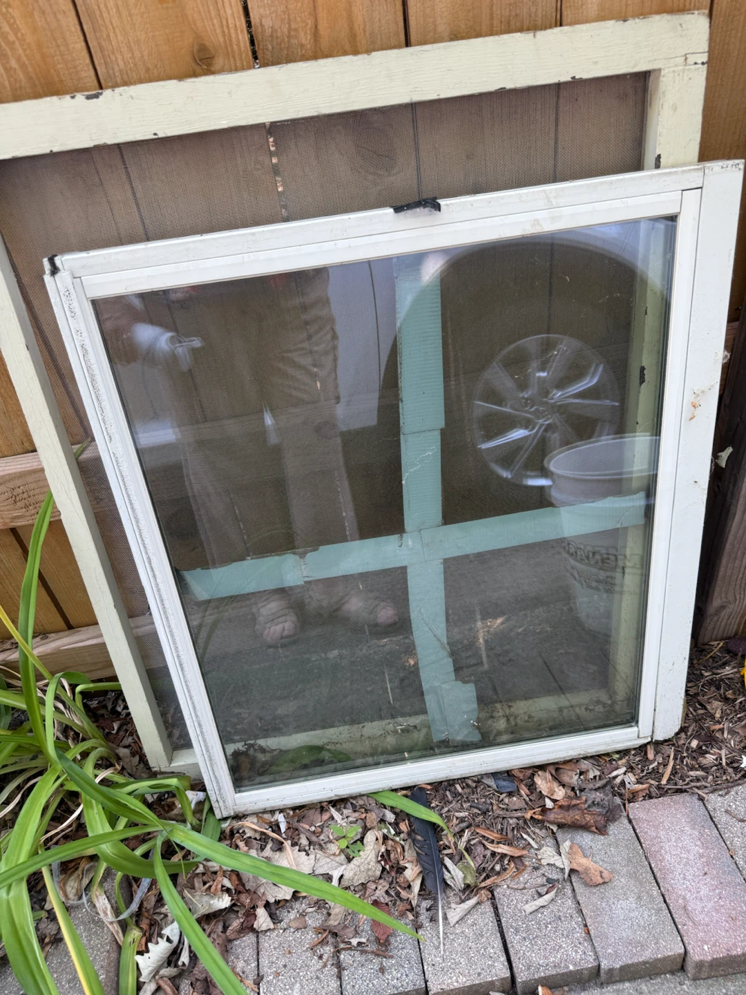 Window with Screen
