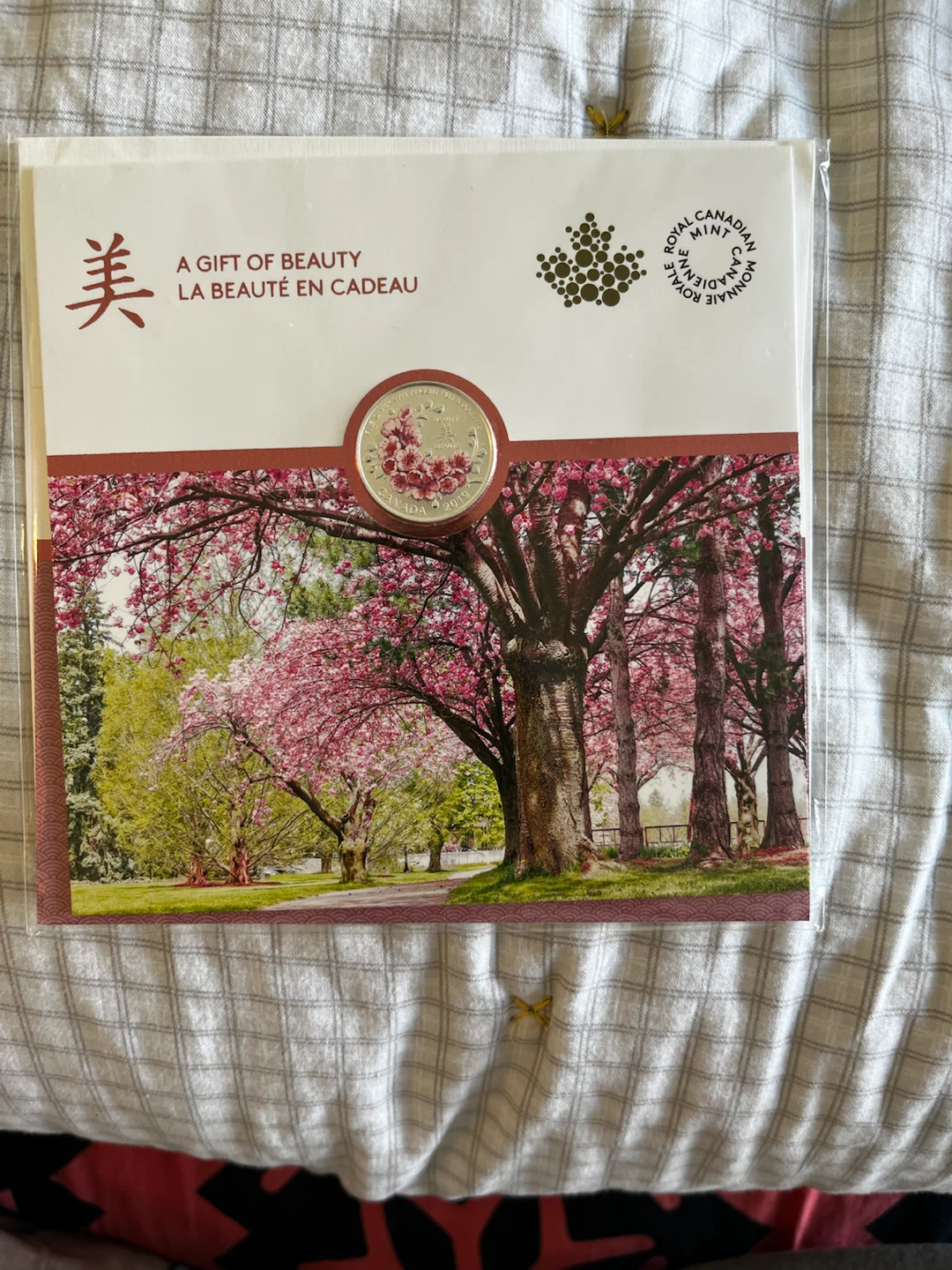 2019 Royal Canadian Mint Pure Silver $8 Coin - A Gift Of Beauty