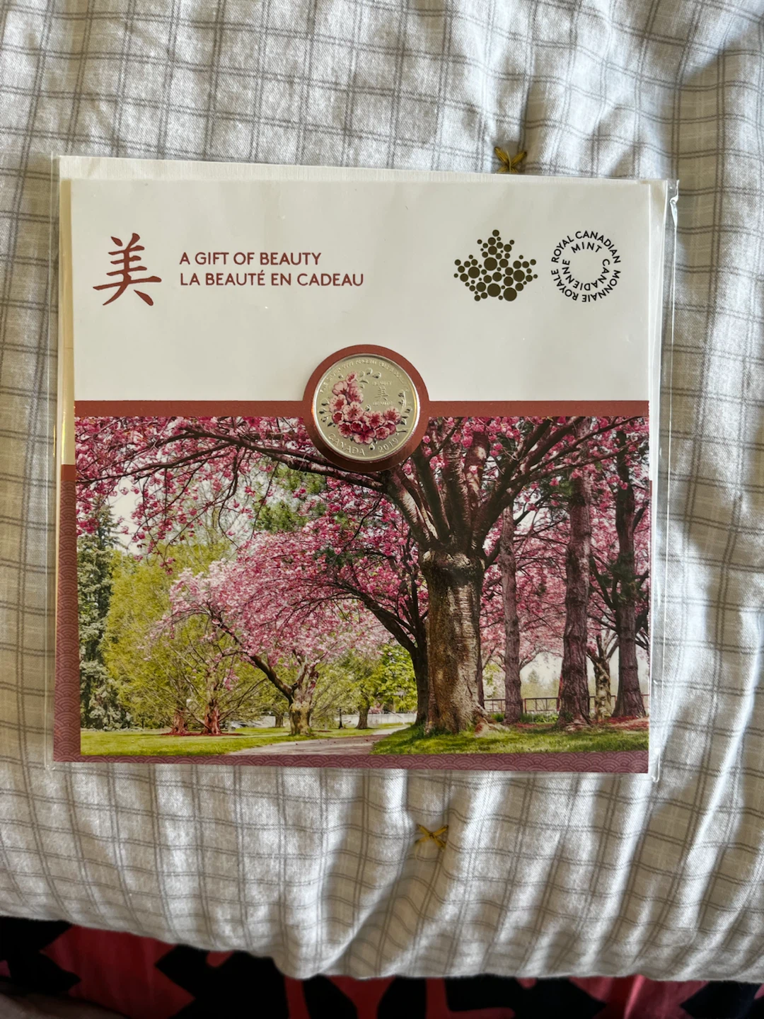 2019 Royal Canadian Mint Pure Silver $8 Coin - A Gift Of Beauty - photo 4