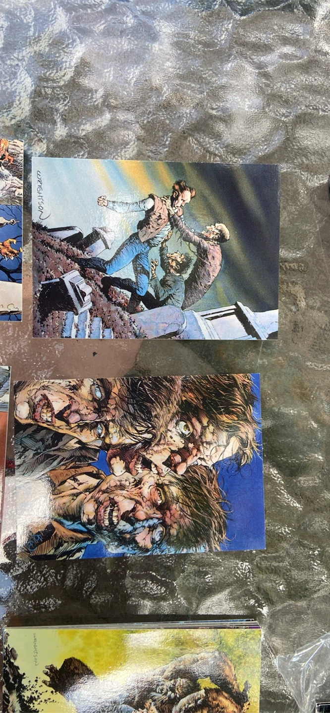 Bernie Wrightson Art Trading Card Set - photo 4